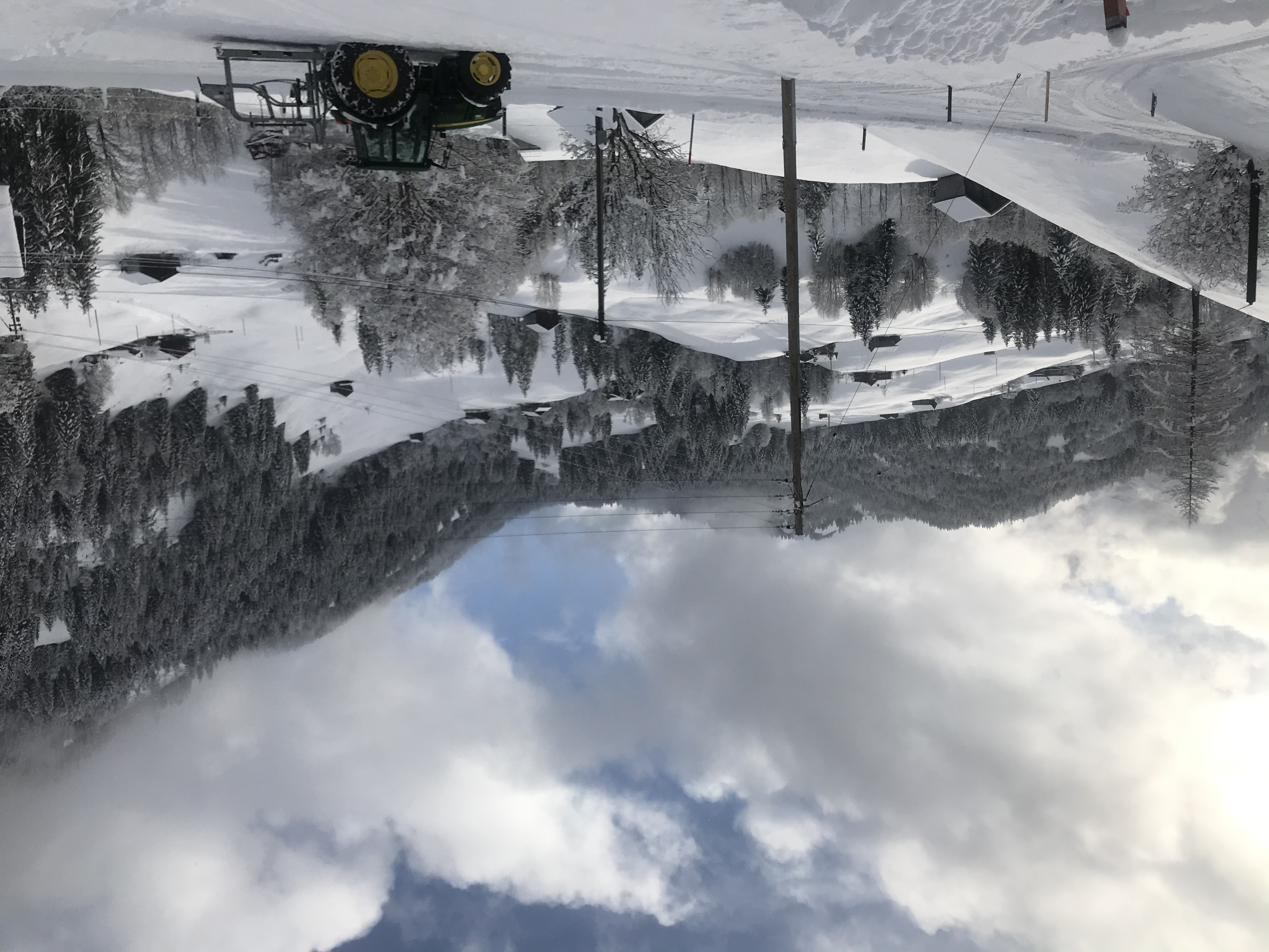 Winter Wonderland