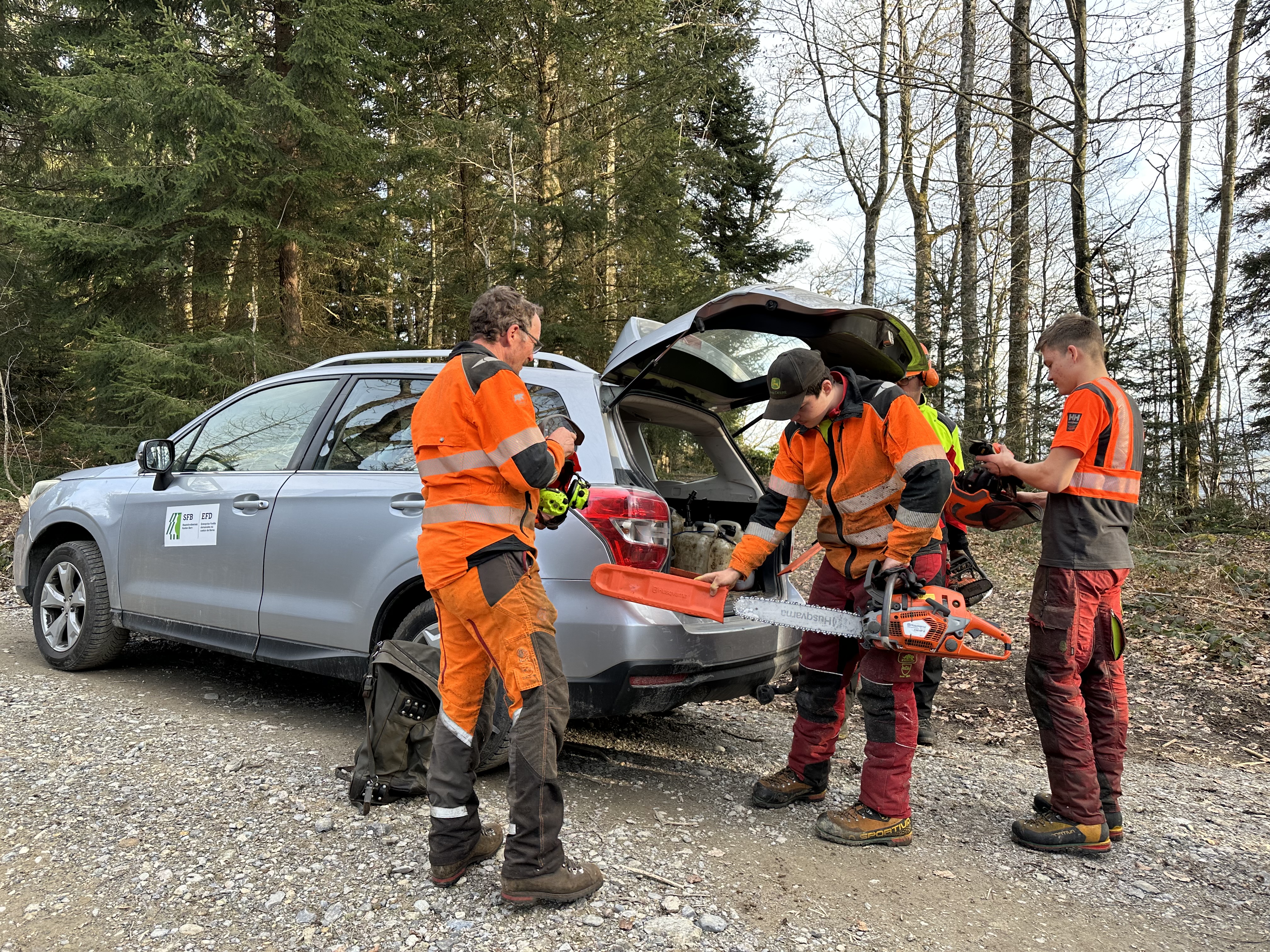 Säge einpacken